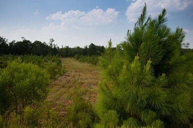 Build the home you've been dreaming about in Lakeside at - photo 26