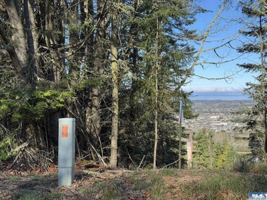 Central Bell Hill View Lot for Sale -Build Your Dream Home in - photo 26