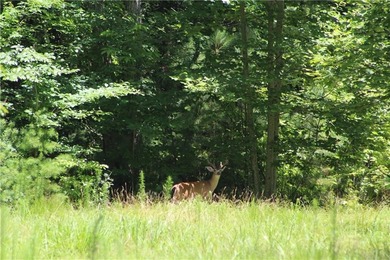 Coosawattee River - Gilmer County Lot For Sale in Ellijay Georgia