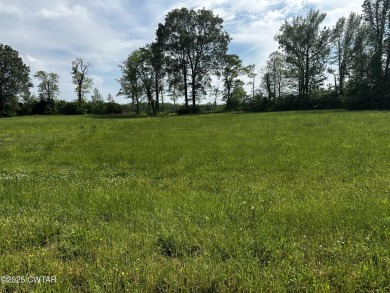 Lake Lot For Sale in Crump, Tennessee