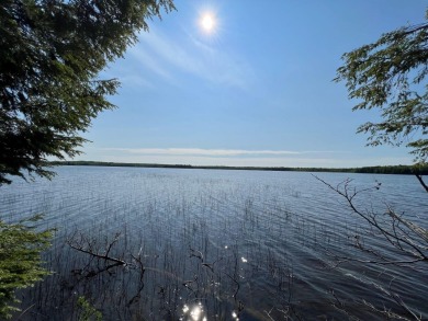 Chaney Lake Acreage For Sale in Bessemer Michigan