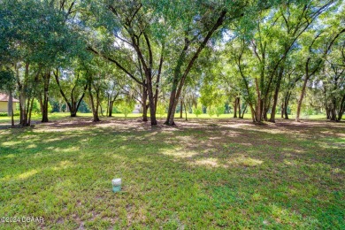 Lake Lot For Sale in Deland, Florida