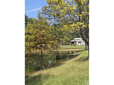 (private lake, pond, creek) Home For Sale in Texarkana Arkansas