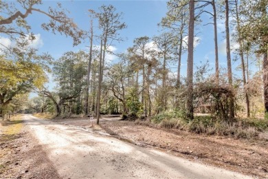 (private lake, pond, coastal) Acreage For Sale in Coden Alabama