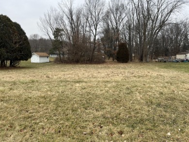 Dragon Lake Lot For Sale in Coldwater Michigan