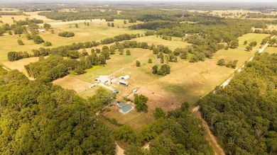 (private lake, pond, creek) Home For Sale in Willow Springs Missouri