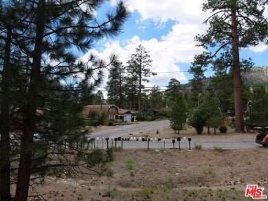 Big Bear Lake Lot For Sale in Big Bear City California