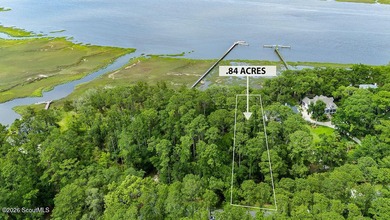 Lot 108 Riverpoint Lane is a Beautiful Deep-Water Homesite at - photo 11