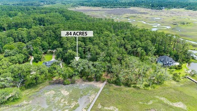 Lot 108 Riverpoint Lane is a Beautiful Deep-Water Homesite at - photo 13
