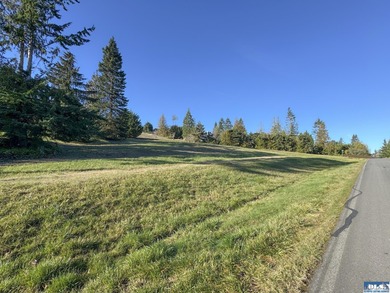 Exceptional Large View Lot on Bell Hill -1.66 Acres with - photo 15