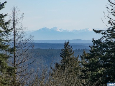 Exceptional Large View Lot on Bell Hill -1.66 Acres with - photo 28