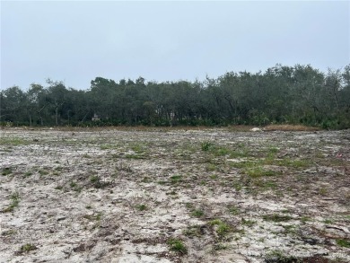 Reedy Lake Lot For Sale in Frostproof Florida