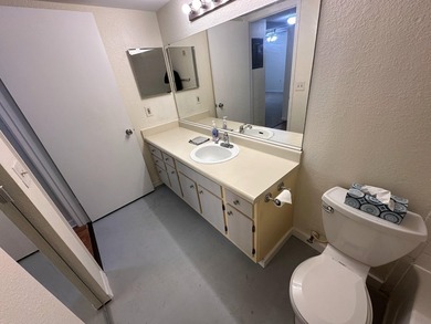 This cozy 1/1 condo features an open living/dining area with a - photo 10