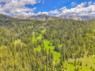 Spanning approximately 48.55+/- acres, this extraordinary - photo 5