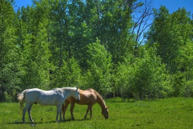 Lake Acreage For Sale in Bozeman, Montana