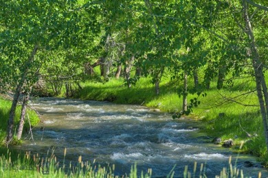 The Homestead is 40 amazing acres and boasts a charming 3800 - photo 2