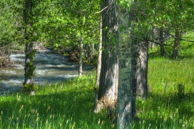 The Homestead is 40 amazing acres and boasts a charming 3800 - photo 4