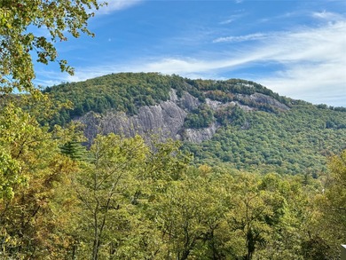 Nestled within the beautiful community of Lonesome Valley and - photo 5