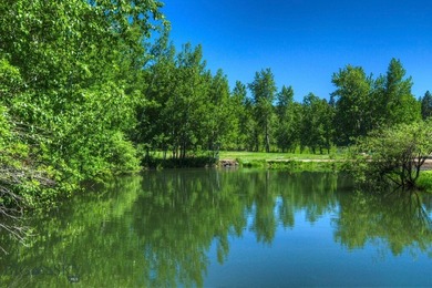 The Homestead is 40 amazing acres and boasts a charming 3800 - photo 6