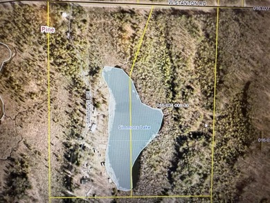 (private lake, pond, creek) Acreage For Sale in Stanton Michigan