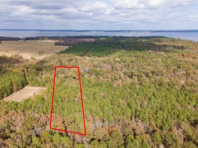 Toledo Bend Lake Acreage For Sale in Shelbyville Texas