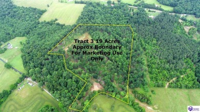 Lake Acreage For Sale in Caneyville, Kentucky