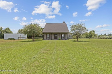 (private lake, pond, coastal) Home For Sale in Breaux Bridge Louisiana