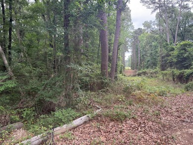 Treat yourself to this 3.90 acre tract of waterfront property - photo 2