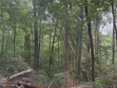 Treat yourself to this 3.90 acre tract of waterfront property - photo 3