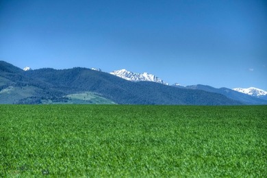 Welcome to Elk Mountain, an exceptional 80-acre parcel in the - photo 5