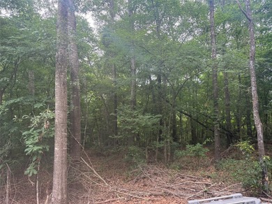 Treat yourself to this 3.90 acre tract of waterfront property - photo 5