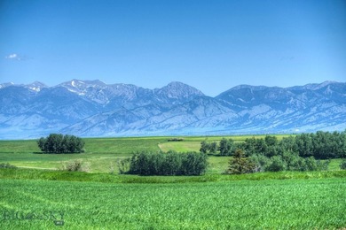 Welcome to Elk Mountain, an exceptional 80-acre parcel in the - photo 6