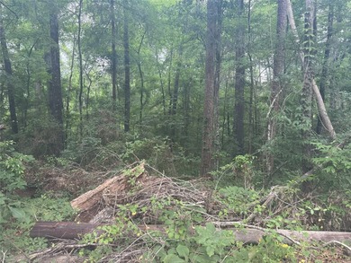 Treat yourself to this 3.90 acre tract of waterfront property - photo 6