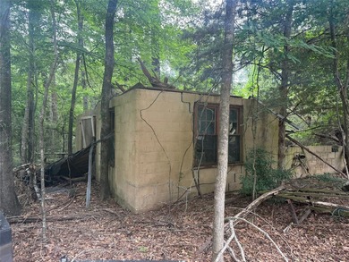Treat yourself to this 3.90 acre tract of waterfront property - photo 7