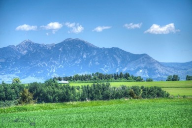 Lake Acreage For Sale in Bozeman, Montana
