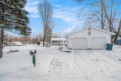 Lake Home For Sale in Stanton, Michigan