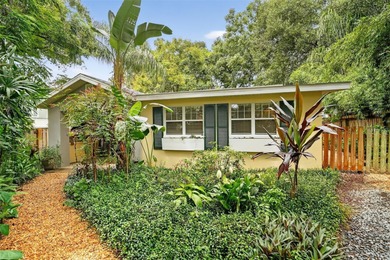 Lake Dora Home For Sale in Mount Dora Florida