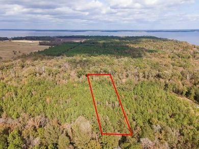 Toledo Bend Lake Acreage For Sale in Shelbyville Texas