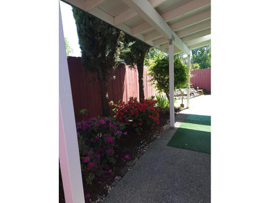 Major 2025 Updates that will last for years to come include the