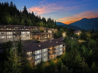 Perched on a quiet Garibaldi Highlands cul-de-sac, this secluded - photo 36