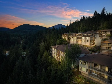 Perched on a quiet Garibaldi Highlands cul-de-sac, this secluded - photo 39