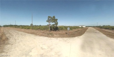 Lehigh Acres Area Lot For Sale in Lehigh Acres Florida