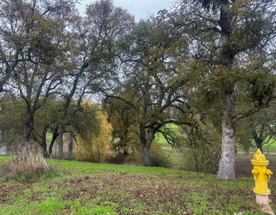 New Hogan Lake Lot For Sale in Valley Springs California