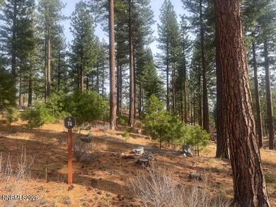 Lake Tahoe - Douglas County Lot For Sale in Carson City Nevada