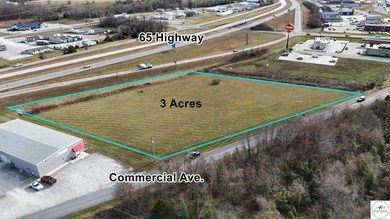 Lake of the Ozarks Commercial For Sale in Warsaw Missouri