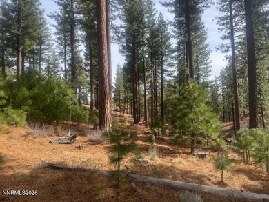One of the seasonal creeks is your neighbor here. Where long - photo 2