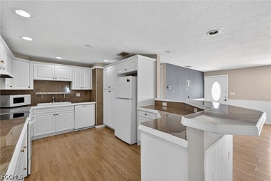 Welcome to this newly listed home in NE Cape Coral! This - photo 11