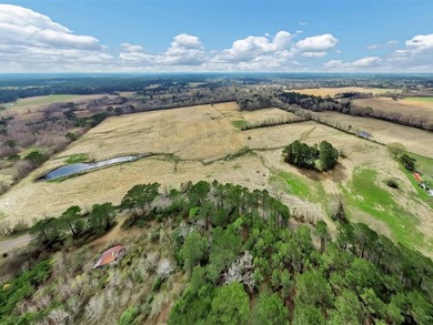 41.30 acres of improved hay pasture offering excellent - photo 11