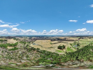 41.30 acres of improved hay pasture offering excellent - photo 12