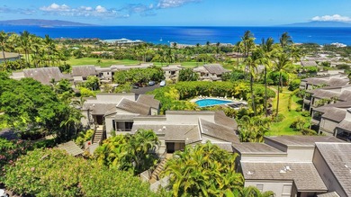 The Ultimate Ocean View You've Been Waiting For at Wailea Ekolu - photo 39